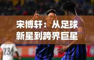 知识产权预算中心 第423页