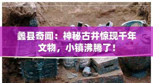 知识产权预算中心 第420页