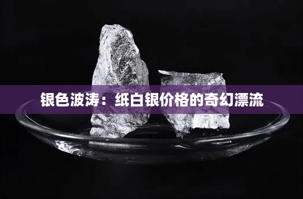 鞭驽策蹇 第5页