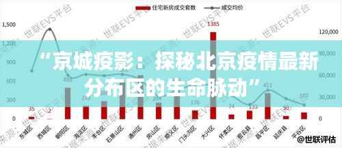 林下风气 第6页