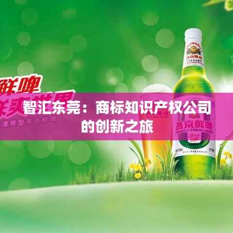 知识产权经营中心 第413页