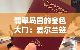 翡翠岛国的金色大门:爱尔兰签证热门政策解析