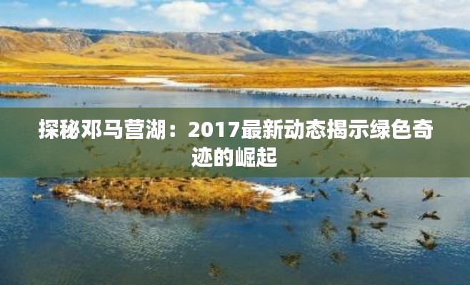 探秘邓马营湖：2017最新动态揭示绿色奇迹的崛起