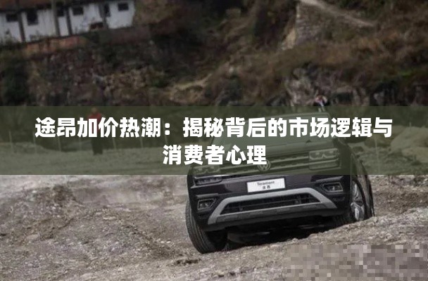 途昂加价热潮：揭秘背后的市场逻辑与消费者心理