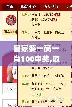 管家婆一码一肖100中奖,项目管理推进方案_4K版7.245