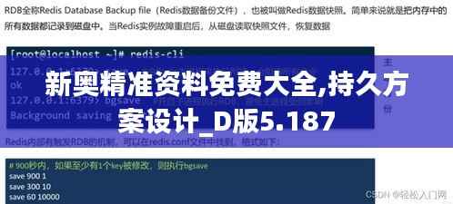 新奥精准资料免费大全,持久方案设计_D版5.187