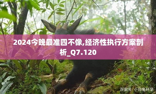 2024今晚最准四不像,经济性执行方案剖析_Q7.120