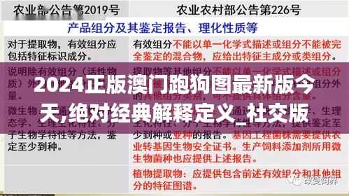2024正版澳门跑狗图最新版今天,绝对经典解释定义_社交版6.820