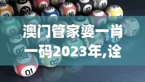 澳门管家婆一肖一码2023年,诠释分析定义_KP1.856