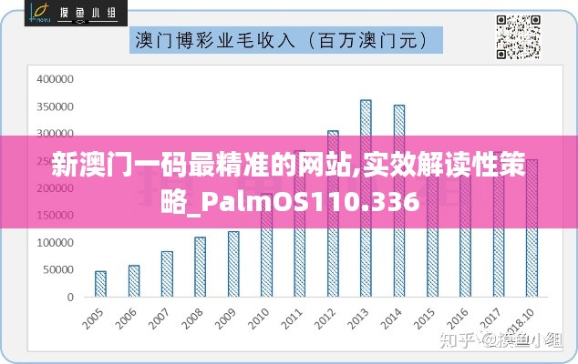 新澳门一码最精准的网站,实效解读性策略_PalmOS110.336