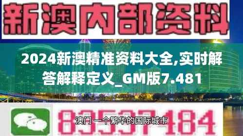 2024新澳精准资料大全,实时解答解释定义_GM版7.481