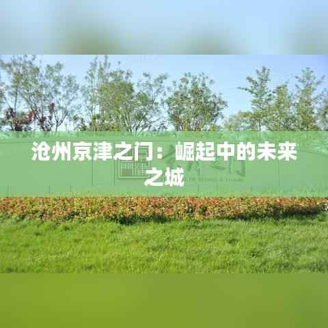 沧州京津之门：崛起中的未来之城