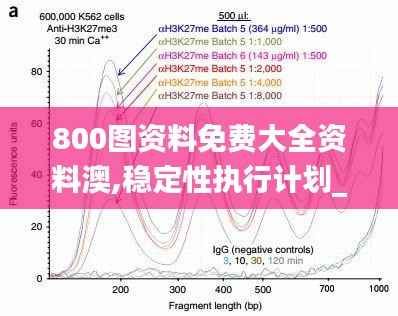 800图资料免费大全资料澳,稳定性执行计划_钻石版5.916