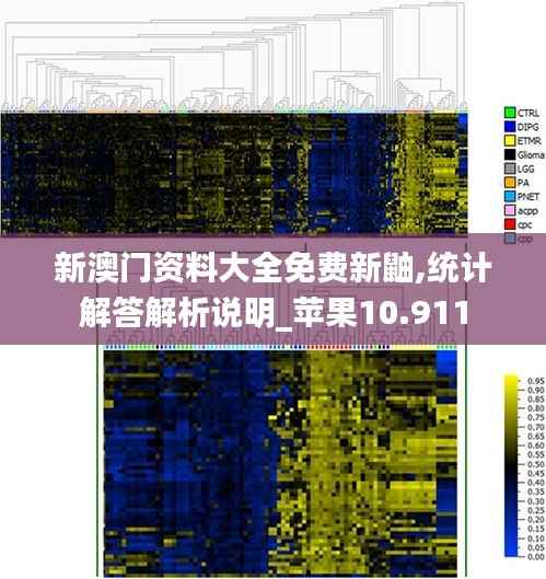 新澳门资料大全免费新鼬,统计解答解析说明_苹果10.911