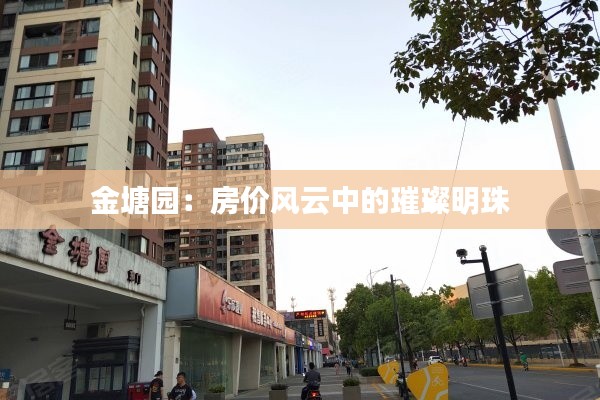 金塘园：房价风云中的璀璨明珠