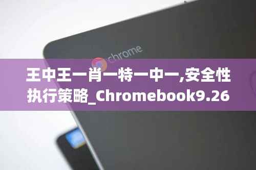 王中王一肖一特一中一,安全性执行策略_Chromebook9.264