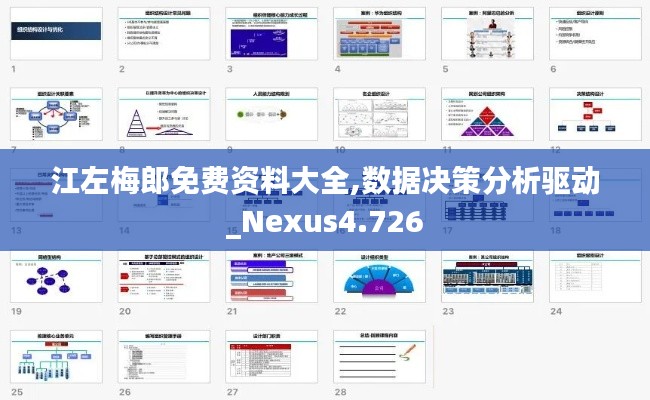 江左梅郎免费资料大全,数据决策分析驱动_Nexus4.726