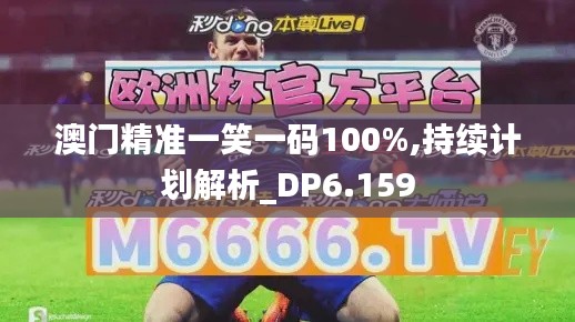 澳门精准一笑一码100%,持续计划解析_DP6.159