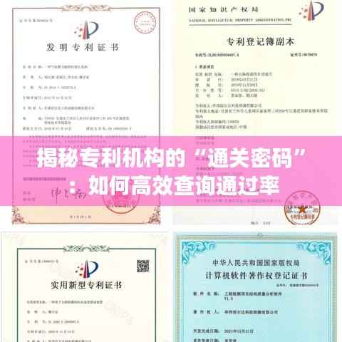 揭秘专利机构的“通关密码”：如何高效查询通过率