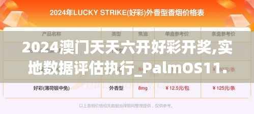 2024澳门天天六开好彩开奖,实地数据评估执行_PalmOS11.221