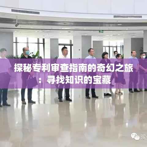 探秘专利审查指南的奇幻之旅：寻找知识的宝藏