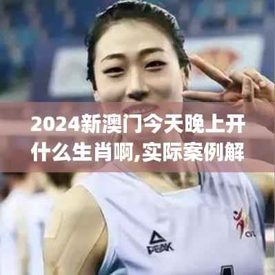 2024新澳门今天晚上开什么生肖啊,实际案例解析说明_桌面款2.509
