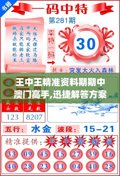 王中王精准资料期期中澳门高手,迅捷解答方案实施_桌面款19.108