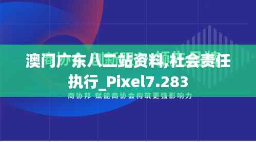 澳门广东八二站资料,社会责任执行_Pixel7.283