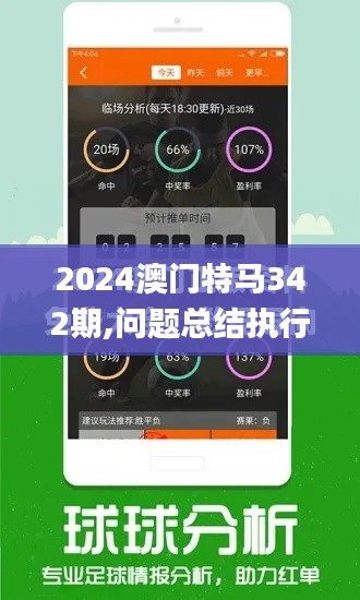 2024澳门特马342期,问题总结执行方案_完整版9.582