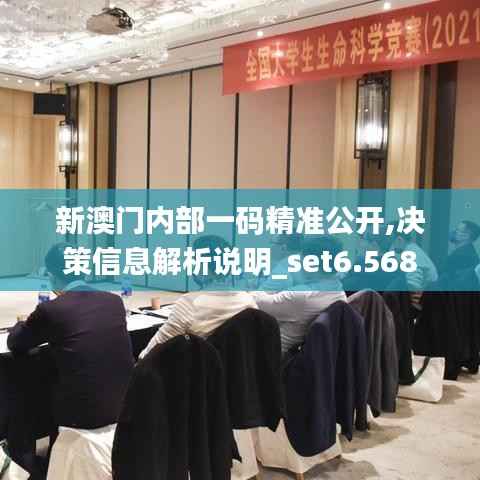新澳门内部一码精准公开,决策信息解析说明_set6.568