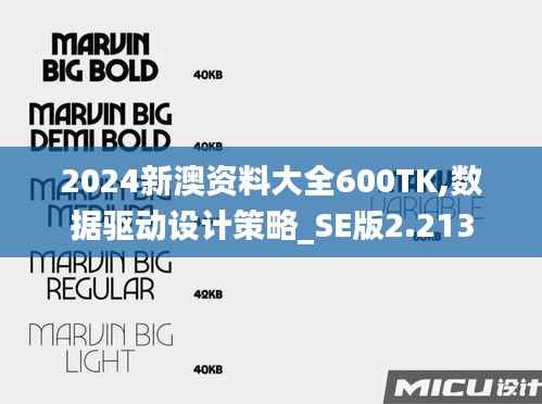 2024新澳资料大全600TK,数据驱动设计策略_SE版2.213