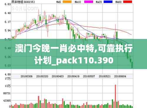 澳门今晚一肖必中特,可靠执行计划_pack110.390