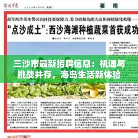 三沙市最新招聘信息：机遇与挑战并存，海岛生活新体验