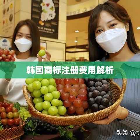 韩国商标注册费用解析