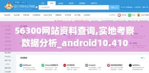 56300网站资料查询,实地考察数据分析_android10.410