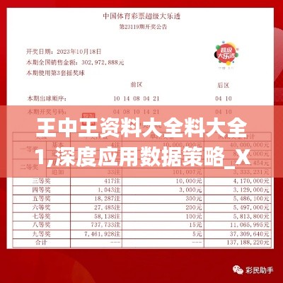 王中王资料大全料大全1,深度应用数据策略_XP8.106