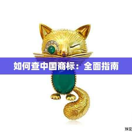 衣不兼彩 第5页