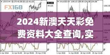 2024新澳天天彩免费资料大全查询,实地评估策略数据_模拟版5.340