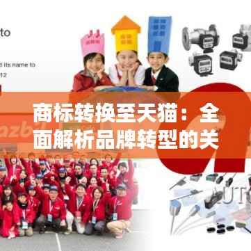 商标转换至天猫：全面解析品牌转型的关键步骤