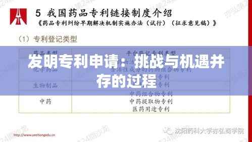发明专利申请：挑战与机遇并存的过程