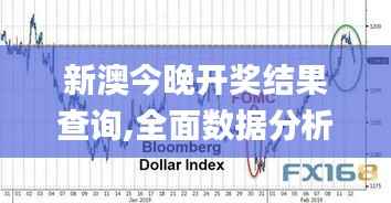 新澳今晚开奖结果查询,全面数据分析实施_LT9.299
