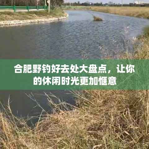 合肥野钓好去处大盘点，让你的休闲时光更加惬意