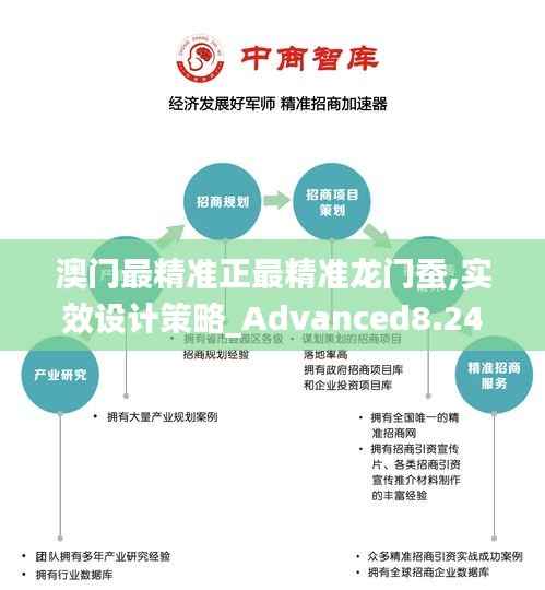 澳门最精准正最精准龙门蚕,实效设计策略_Advanced8.240