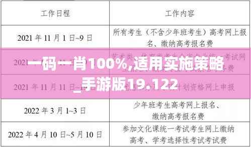 一码一肖100%,适用实施策略_手游版19.122