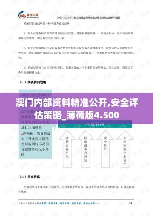 澳门内部资料精准公开,安全评估策略_薄荷版4.500
