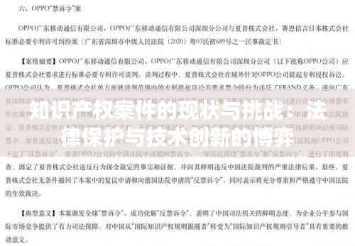 知识产权案件的现状与挑战：法律保护与技术创新的博弈