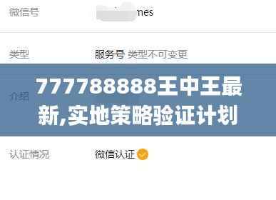 777788888王中王最新,实地策略验证计划_pack10.582