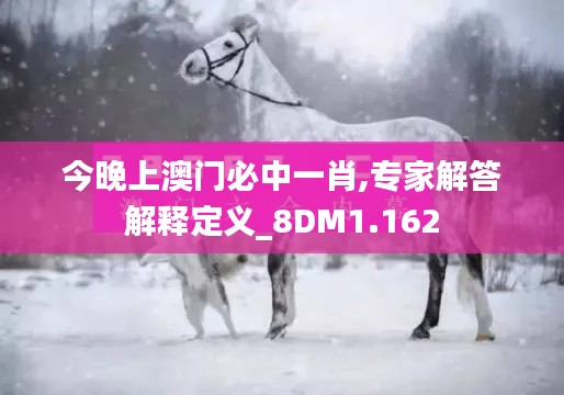 今晚上澳门必中一肖,专家解答解释定义_8DM1.162