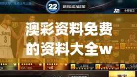 澳彩资料免费的资料大全wwe,现状分析解释定义_4DM9.547