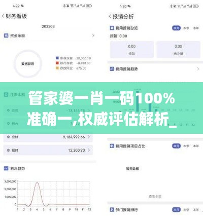 管家婆一肖一码100%准确一,权威评估解析_PalmOS15.781